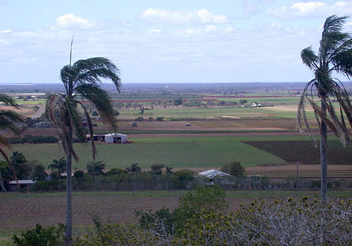 DSCN8396 Fields Near Bundaberg