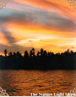 The Nature Light Show