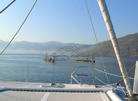 17 Indonesian Fish Traps