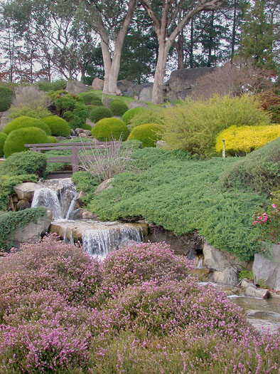 DSCN8346 Japanese Friendship Garden in Cowra