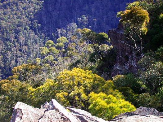 DSCN3742 Scene from Hiking Trail