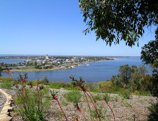 DSCN9282 Overlooking Perth from Kings Park