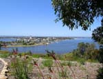 DSCN9282 Overlooking Perth from Kings Park