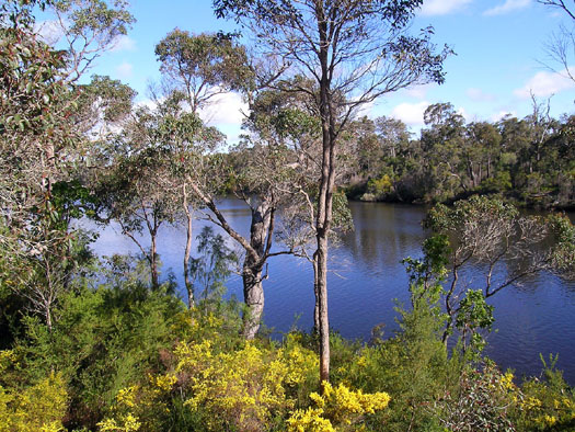 DSCN9091 River Walk Nannup