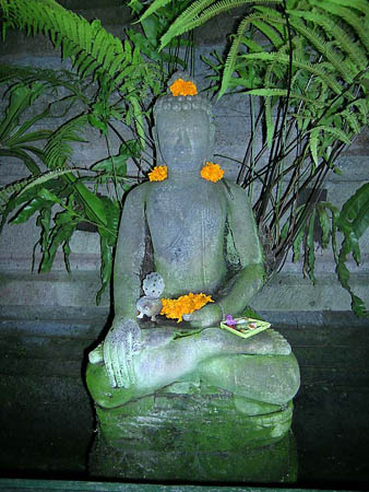 07 Flowers placed daily, Ubud