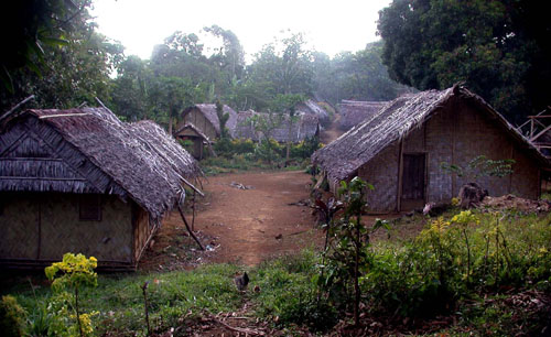 DSCN7694 A Large Banks Village