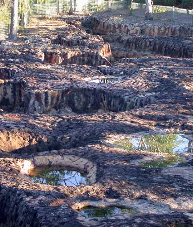 23 The Craters--Dinosaur Footprints