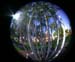 12 Bamboo Clump with Church Fisheye LgPrint