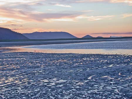 Low Tide in Cairns