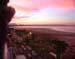 Gunter at Hotel Balcony in Cairns