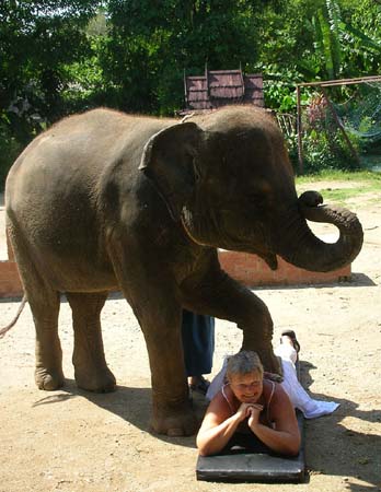 Ret Ele;phant Massage 1