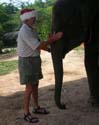 DSCN3694 Gunter patting elephant