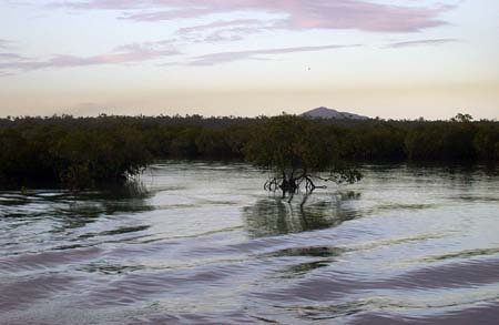 5 High Tide in the Narrows