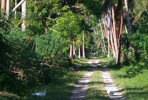 DSCN5744 The Main Highway