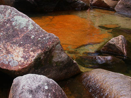 008 The Colors Along the Way