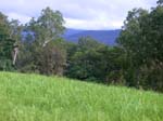 001 Queenslander
