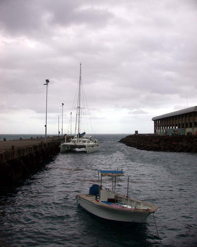 DSCN5227 PB at the Wharf on Another Gray Day