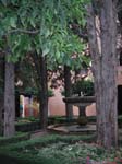FountaininGarden