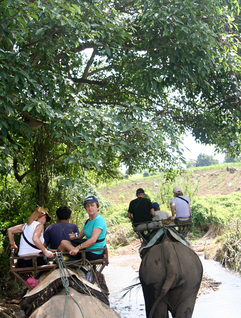 20 Riding the elephants