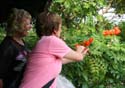 3  Marian and Carla admire blossom at museum
