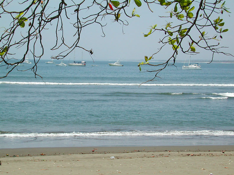 PacificBlisswithFleetinQuepos