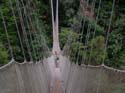 LoisinMiddleofSuspensionBridge