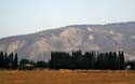 27  Wheat Fields and the Golan Heights