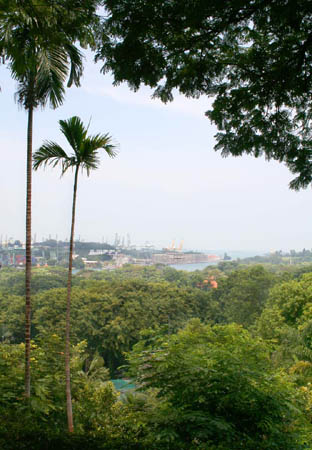 04 Singapore from Sentosa Island