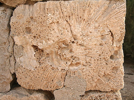 07 Coral block detail, Old Suakin, Sudan