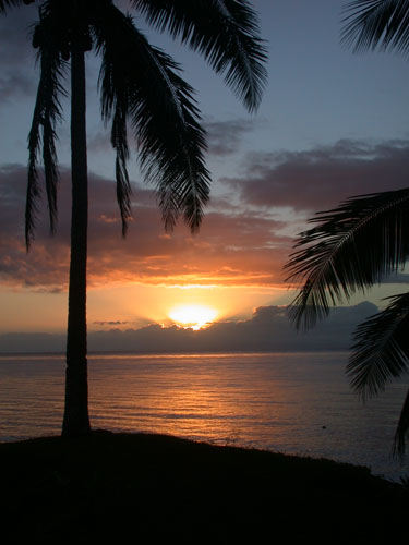 DSCN5537 Looking Seaward