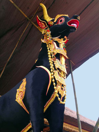 Bull for funeral procession