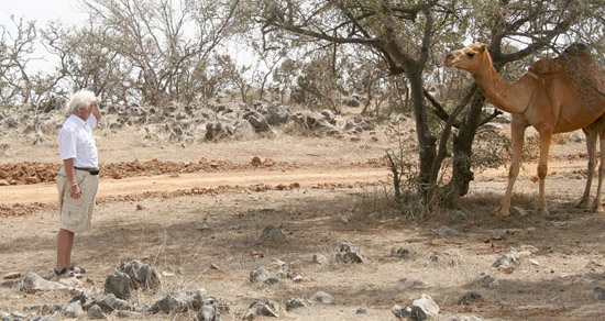 09 Curious Gunter approaches camel