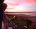 Gunter at Hotel Balcony in Cairns