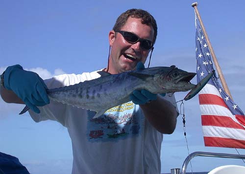 A nice mackeral on the way to Mackay