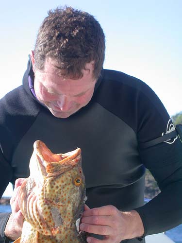 Looking the Fish in the Mouth