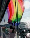 attheSpinnaker