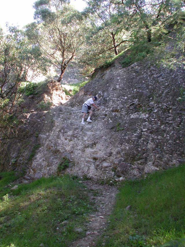 GuntertheGoatScalingtheCliffsDSCN1375