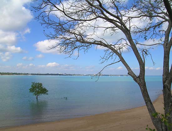 Fannie Bay at High Tide