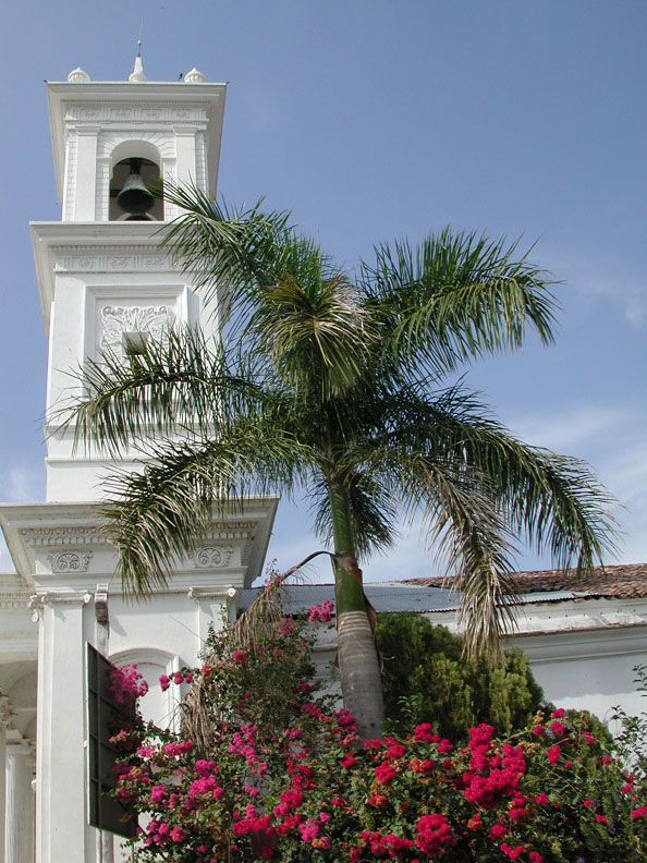 Church_Bell_and_Palm_-_Inland_Tour