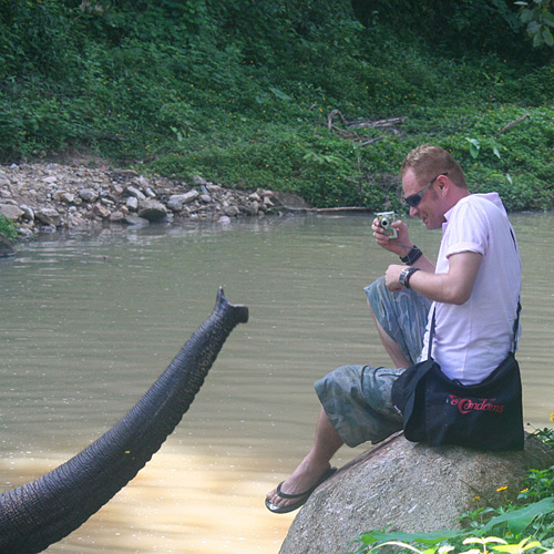 IMG_5974 The trunk from nowhere