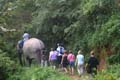 IMG_5901 We follow the elephant back to the Royal Stables