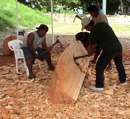 Carving out new canoe