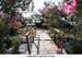 13--A-little-marina-garden-