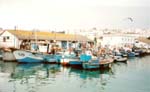 image1tangier