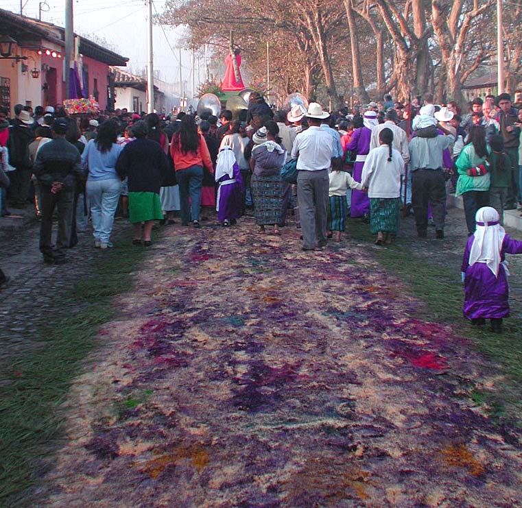 TrampledCarpetofFlowers