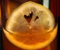 A Welcome Lemon Tea