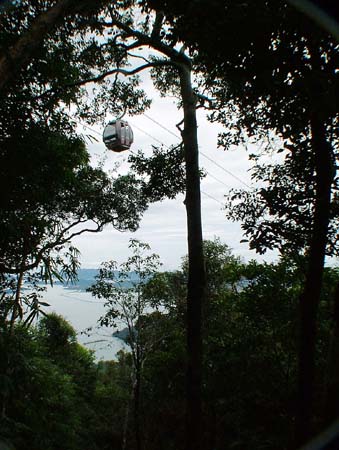 Cable Car as seen from Jungle