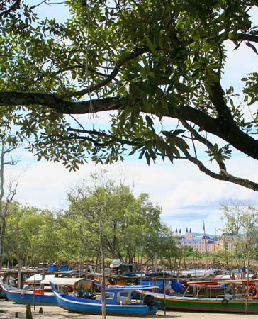Fishing boats with ighhrise hotel in background