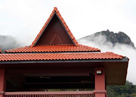 IMG_0193 CU Red Roofs in Morning Mist