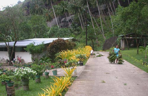DSCN5902FatherSonChores,Fat